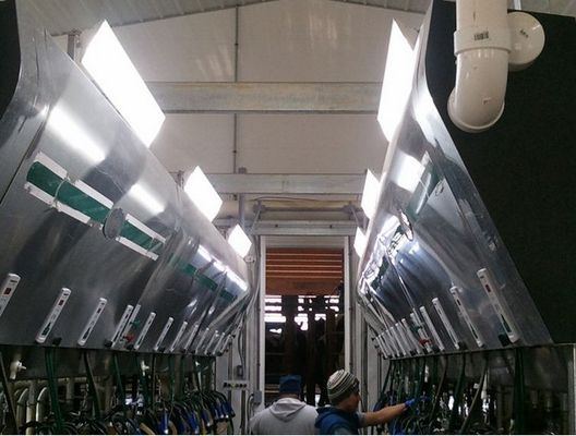 ค่าใช้จ่ายคงที่ในปัจจุบันทำให้ไฟเชิงเส้น 85Watt บำรุงรักษาที่ต่ำกว่า