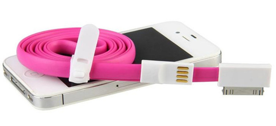 ลวดยาวรถรับส่งจากสนามแม่เหล็ก 30 Pin 1.2m iPhone 4 / 4S ชาร์จ USB Cable