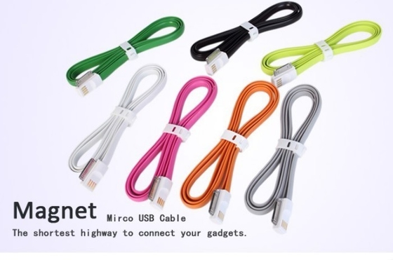ลวดยาวรถรับส่งจากสนามแม่เหล็ก 30 Pin 1.2m iPhone 4 / 4S ชาร์จ USB Cable